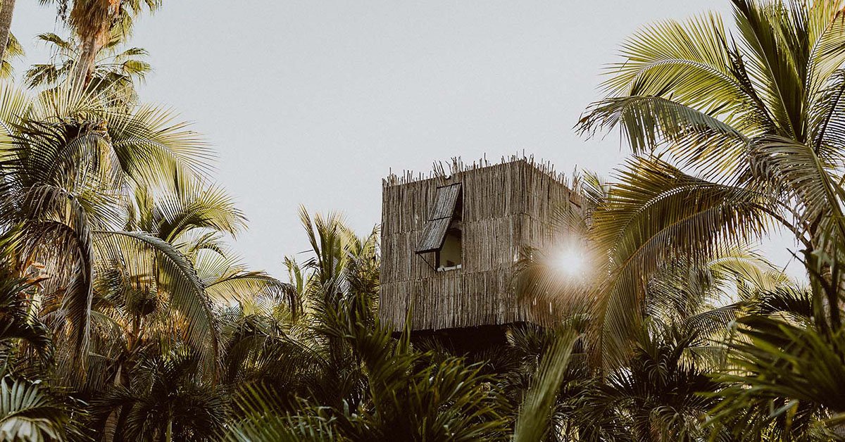 Acre resort treehouses 41 feature