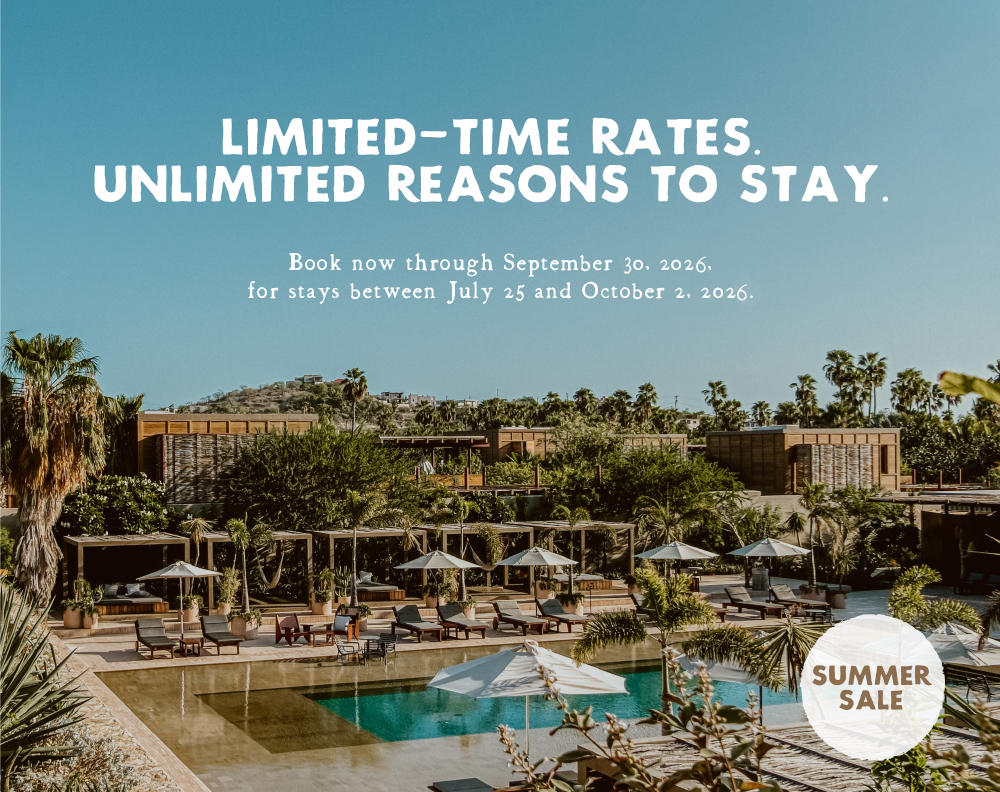 Acre web offers residences summer sale