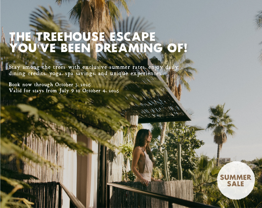Acre web offers treehouses summer sale