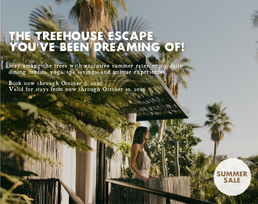 Acre treehouses web offers