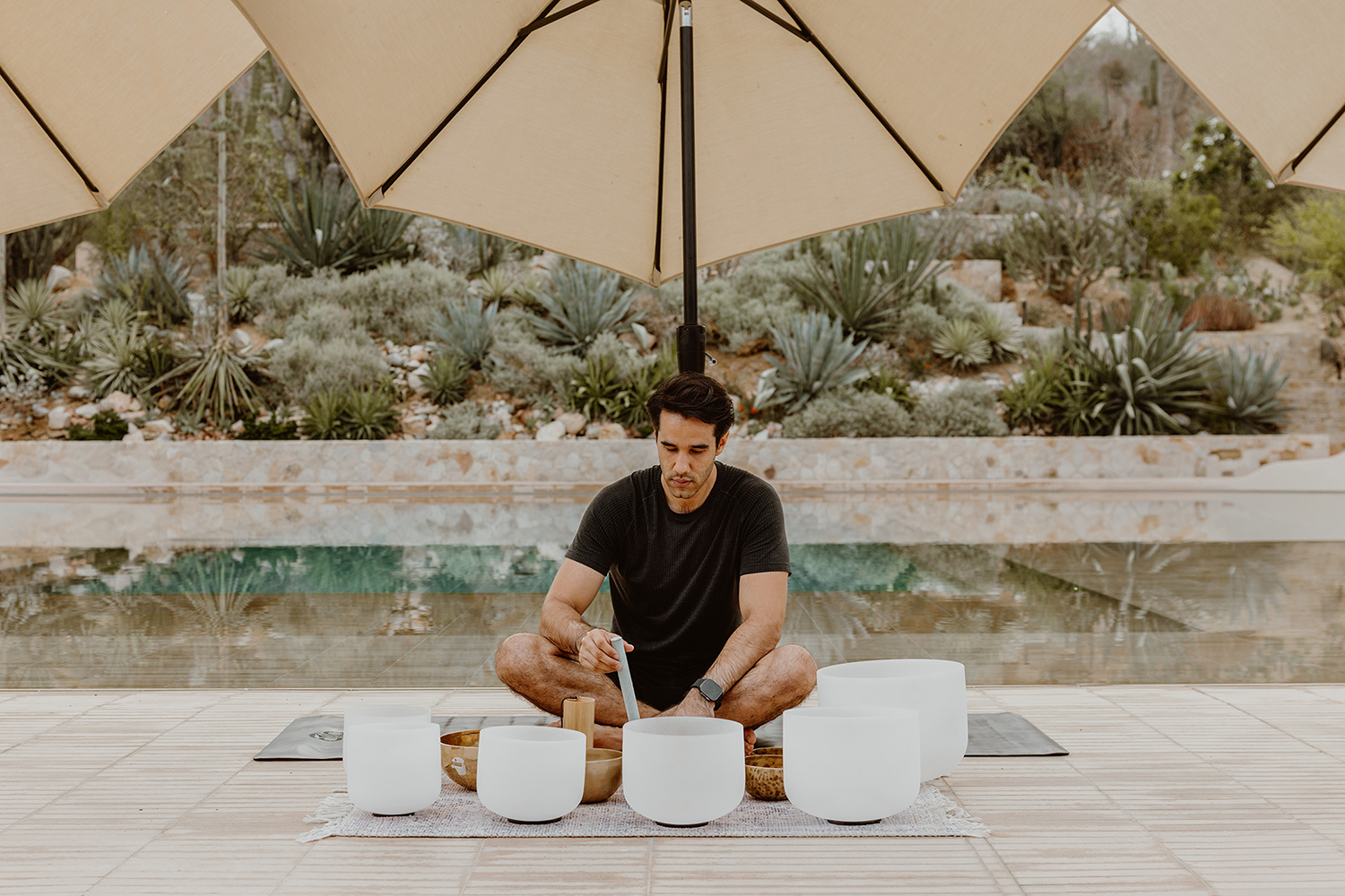 Acre Wellness Day