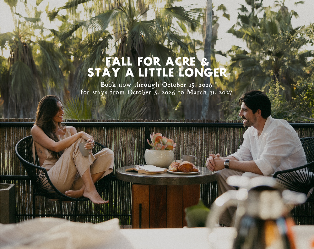 Acre web offers treehouse hotel